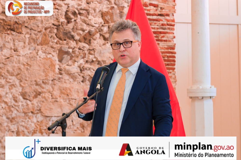 Hugo Gosmann, Consultor