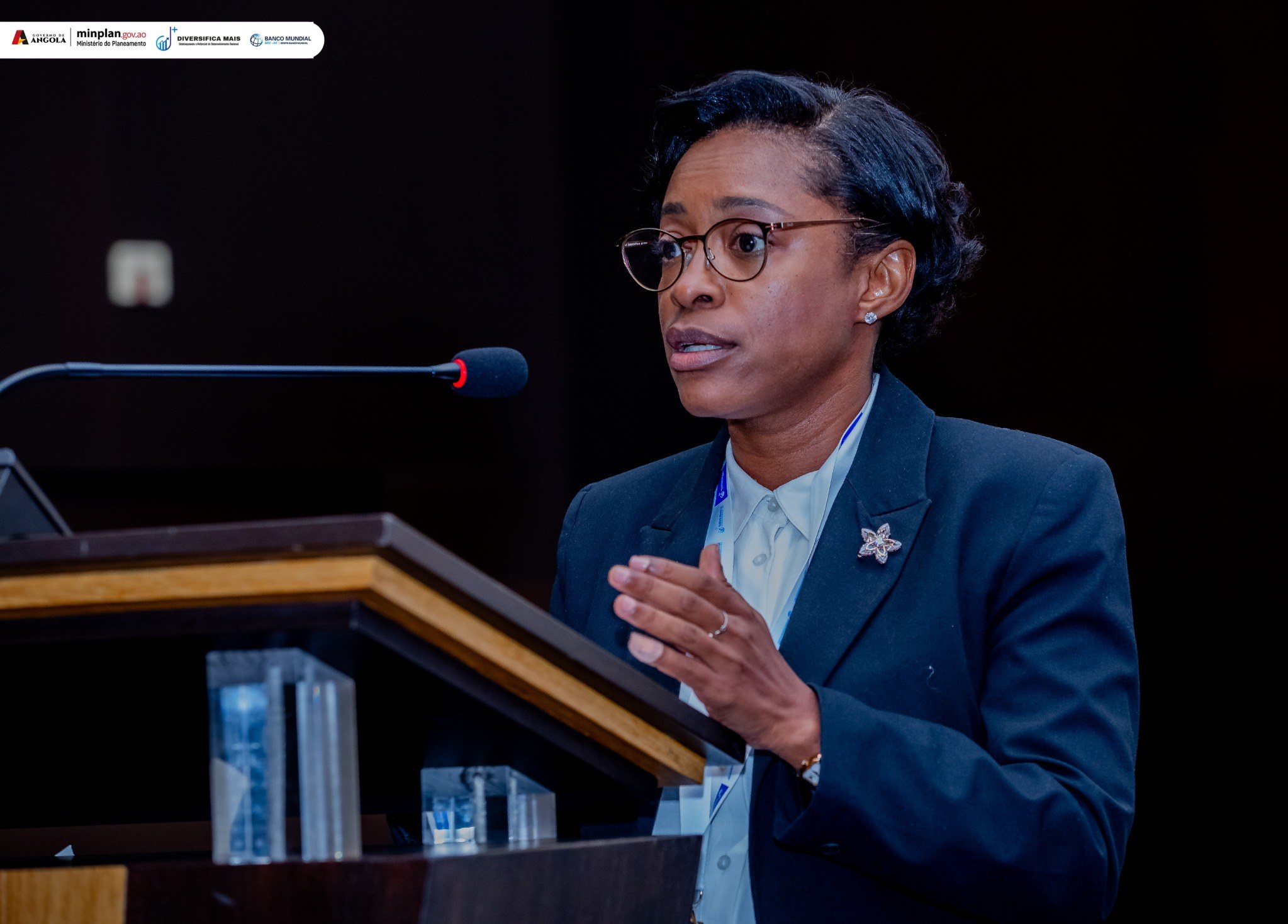 Mónica Carneiro, Especialista da UIP